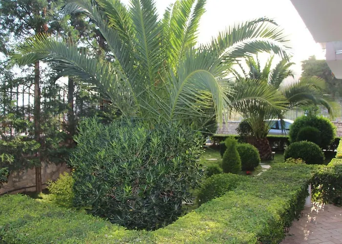 Vila Mateo